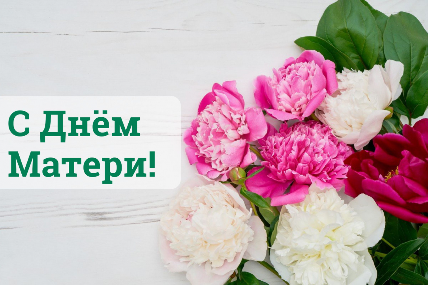 Поздравление ректора ко Дню матери